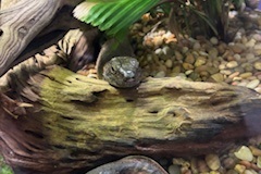 image00101