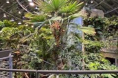 image00401