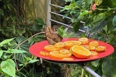 image00501