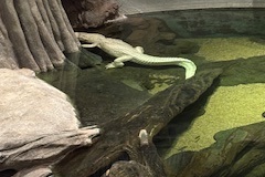 image007111